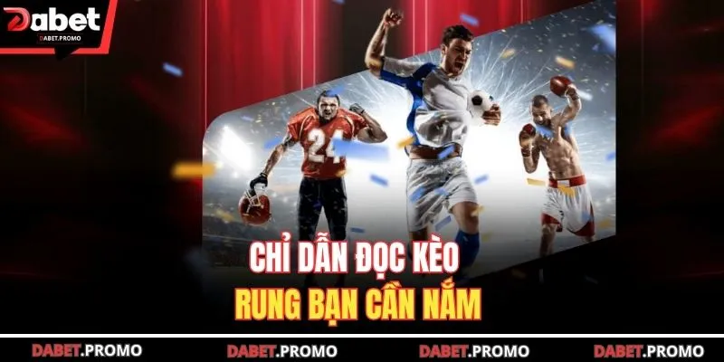 Chỉ dẫn đọc kèo rung bạn cần nắm